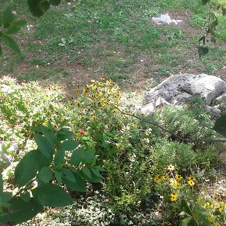 Guest House Rabenseifner - Opatija Jurdani المظهر الخارجي الصورة