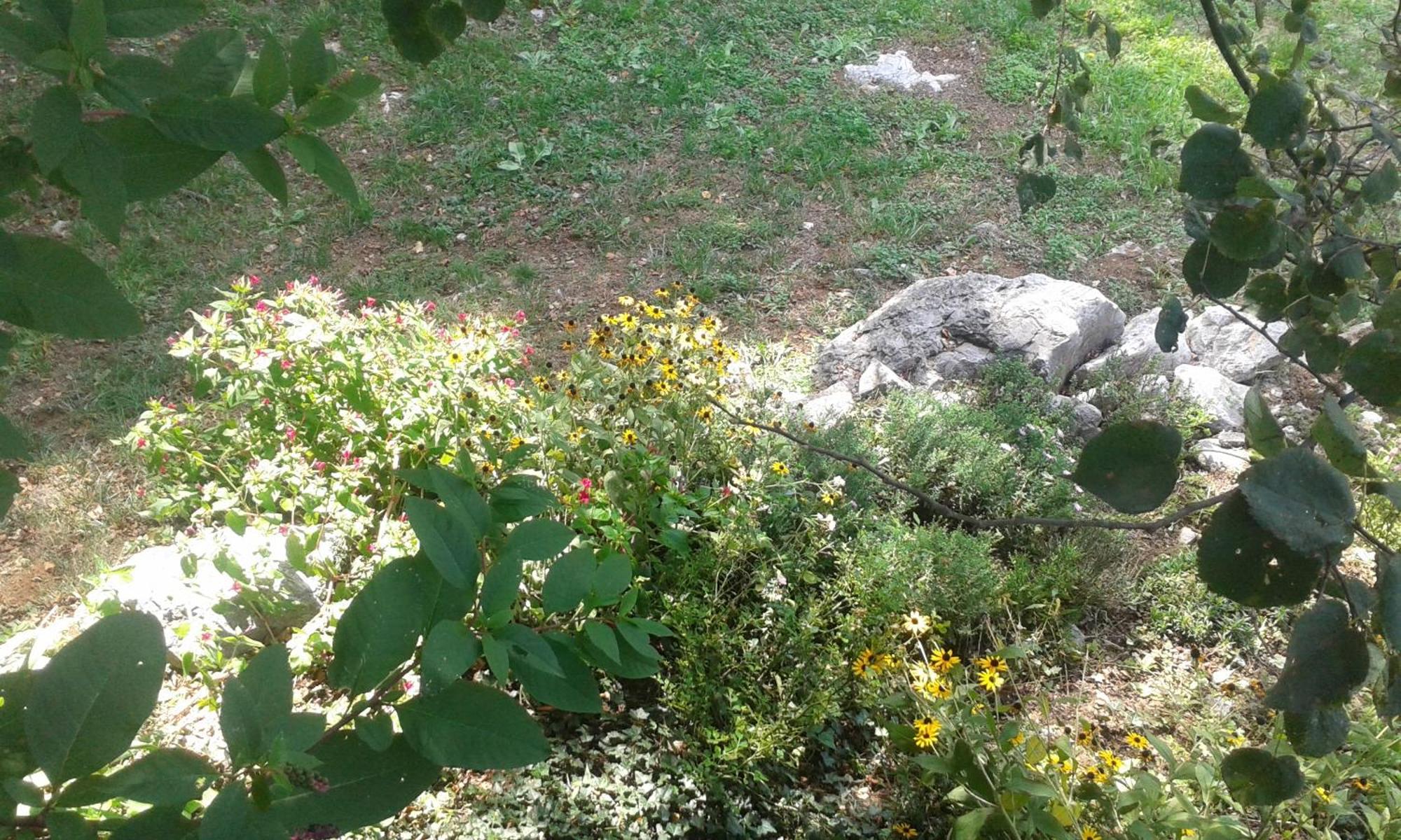 Guest House Rabenseifner - Opatija Jurdani المظهر الخارجي الصورة