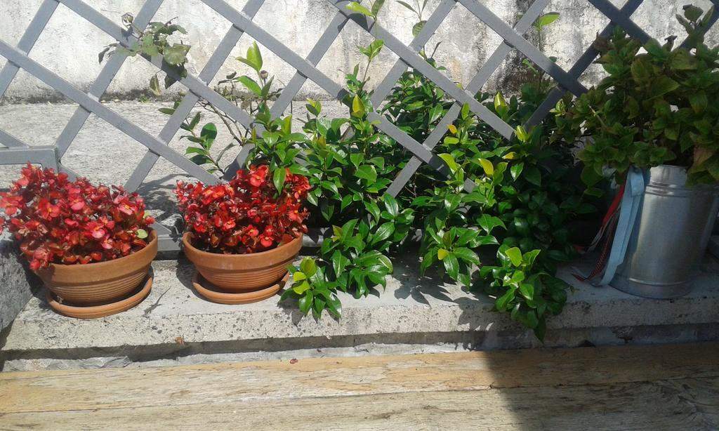 Guest House Rabenseifner - Opatija Jurdani المظهر الخارجي الصورة